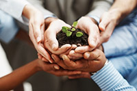 Team of people holding a fragile plant