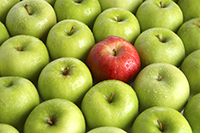 Red apple standing out from green apples to signify leadership and teachers